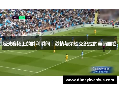足球赛场上的胜利瞬间，激情与荣耀交织成的美丽画卷
