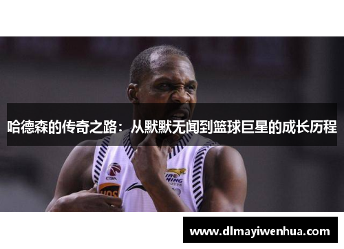 哈德森的传奇之路：从默默无闻到篮球巨星的成长历程