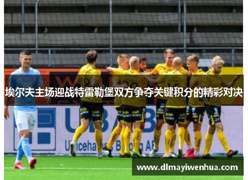 埃尔夫主场迎战特雷勒堡双方争夺关键积分的精彩对决