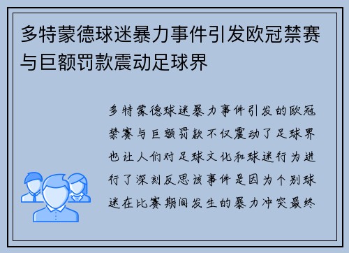 多特蒙德球迷暴力事件引发欧冠禁赛与巨额罚款震动足球界