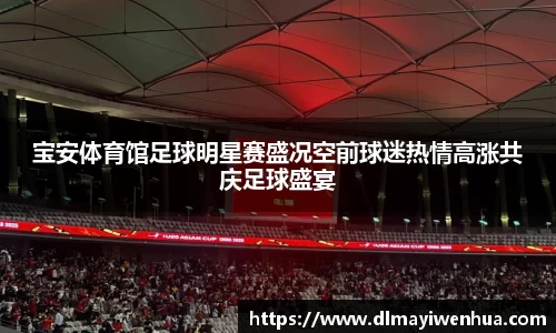 宝安体育馆足球明星赛盛况空前球迷热情高涨共庆足球盛宴